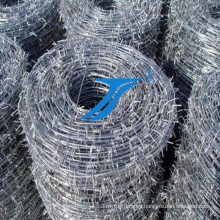 Galvanized Iron Razor Barbed Wire From Professional Factory